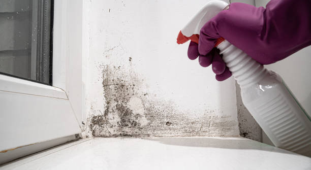 Sewage cleanup and water damage restoration in Central High, OK